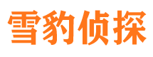 招远市私家侦探